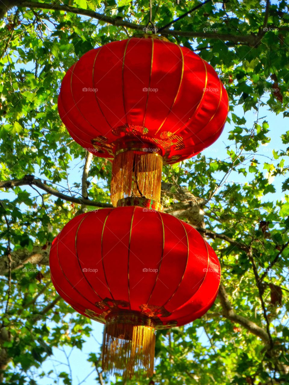 Hanging Chinese Lantern
