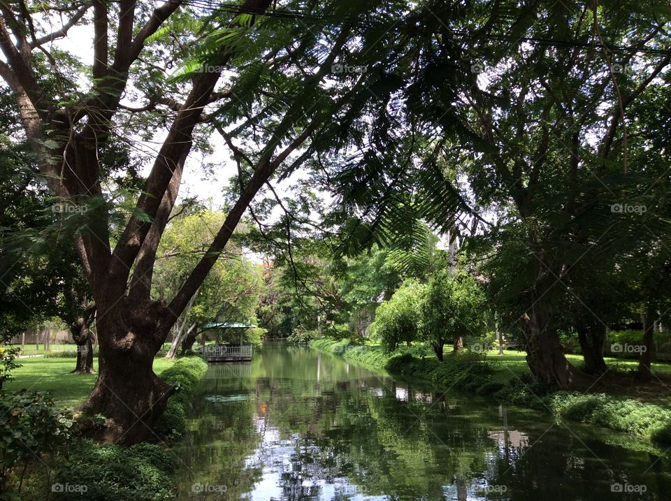 Garden. River in the garden