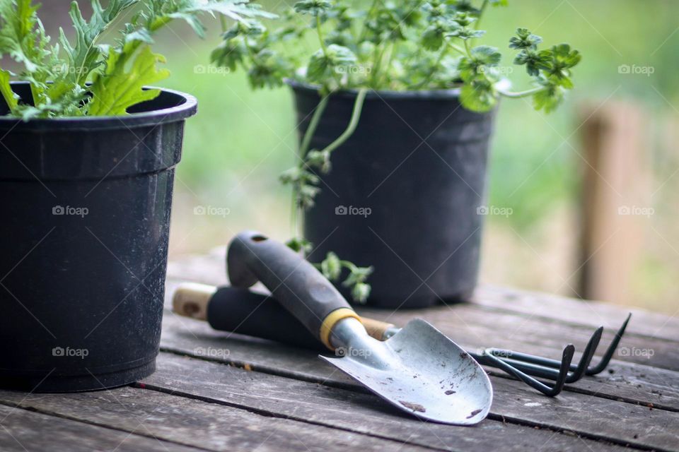 Happy gardening