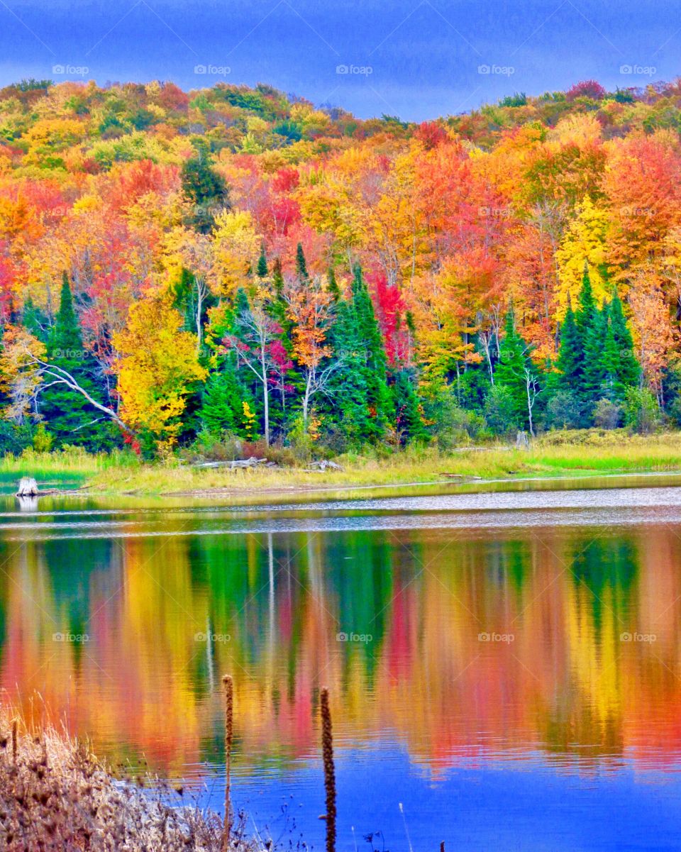 Beautiful fall day in Michigan 