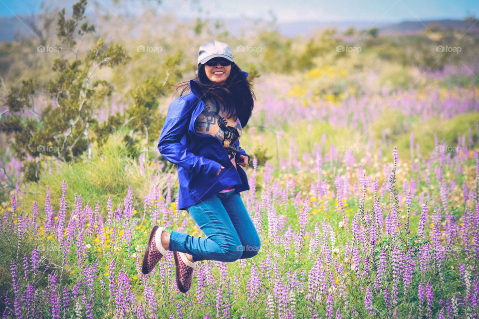 Nature, Flower, Hayfield, Outdoors, Summer