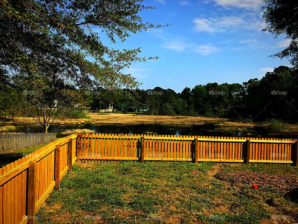 Fence in yard