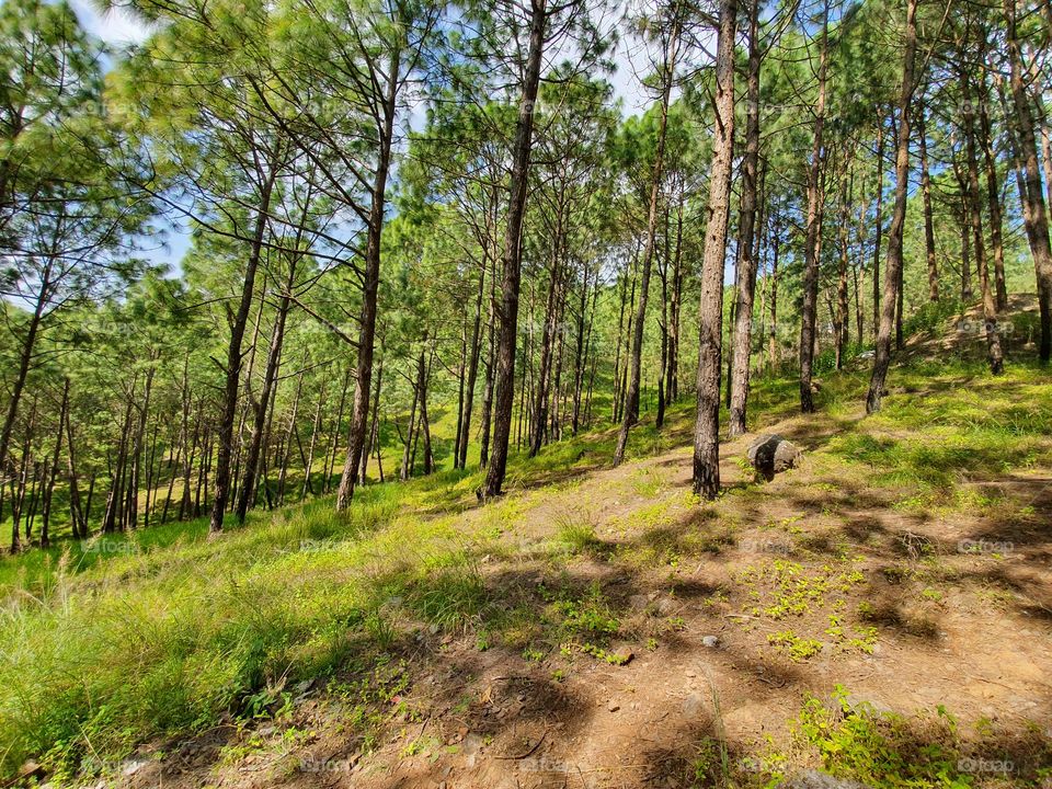 Close your eyes take long breath  u can smell the pure beauty of nature.
Hold your breath for while and you will hear beautiful  music of Mother earth❤️
 #Close to nature