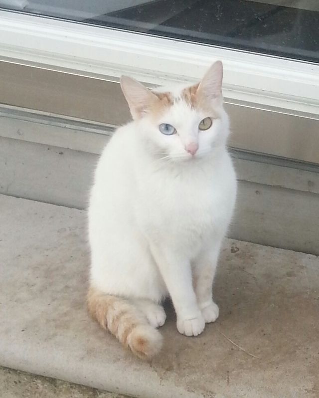 kiki 