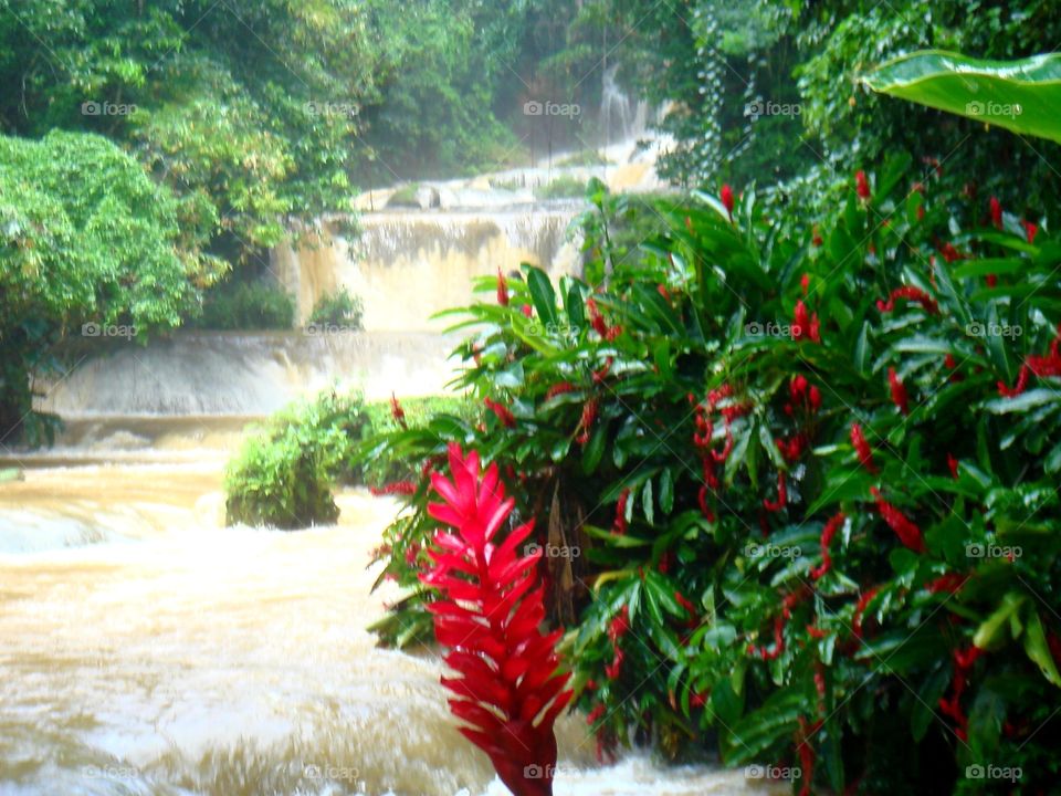 red waterfall