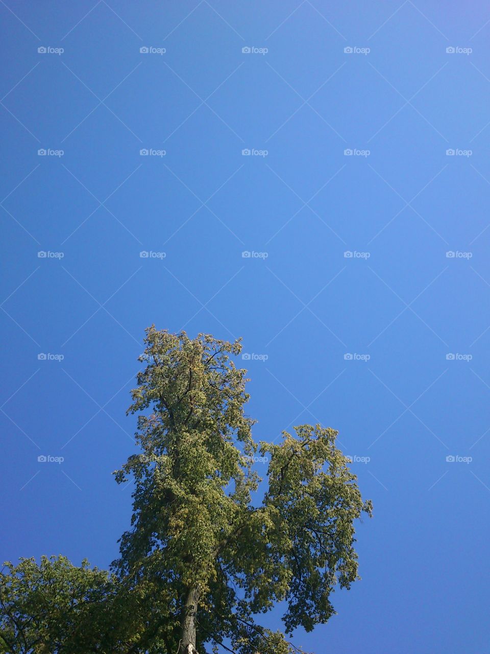 The blue blue sky, absolutly clear. Poland