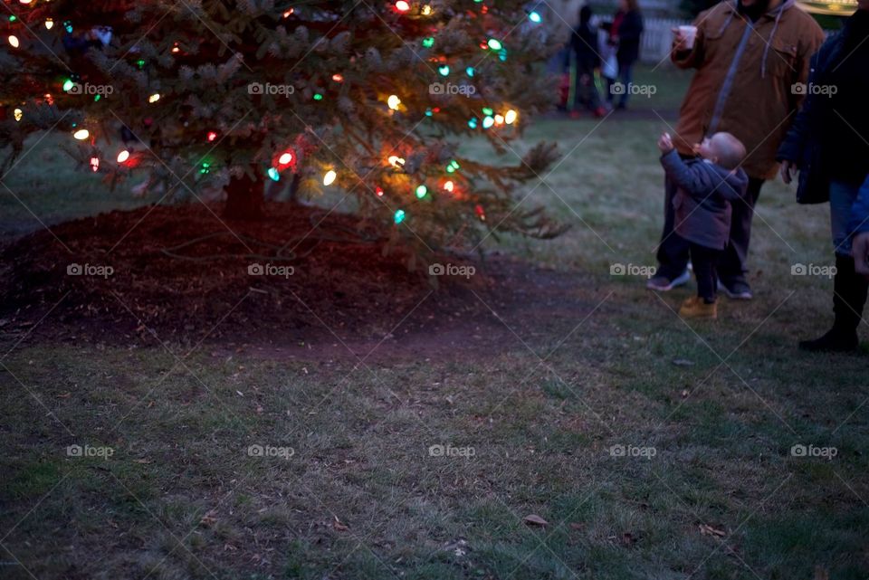 Community Christmas festival