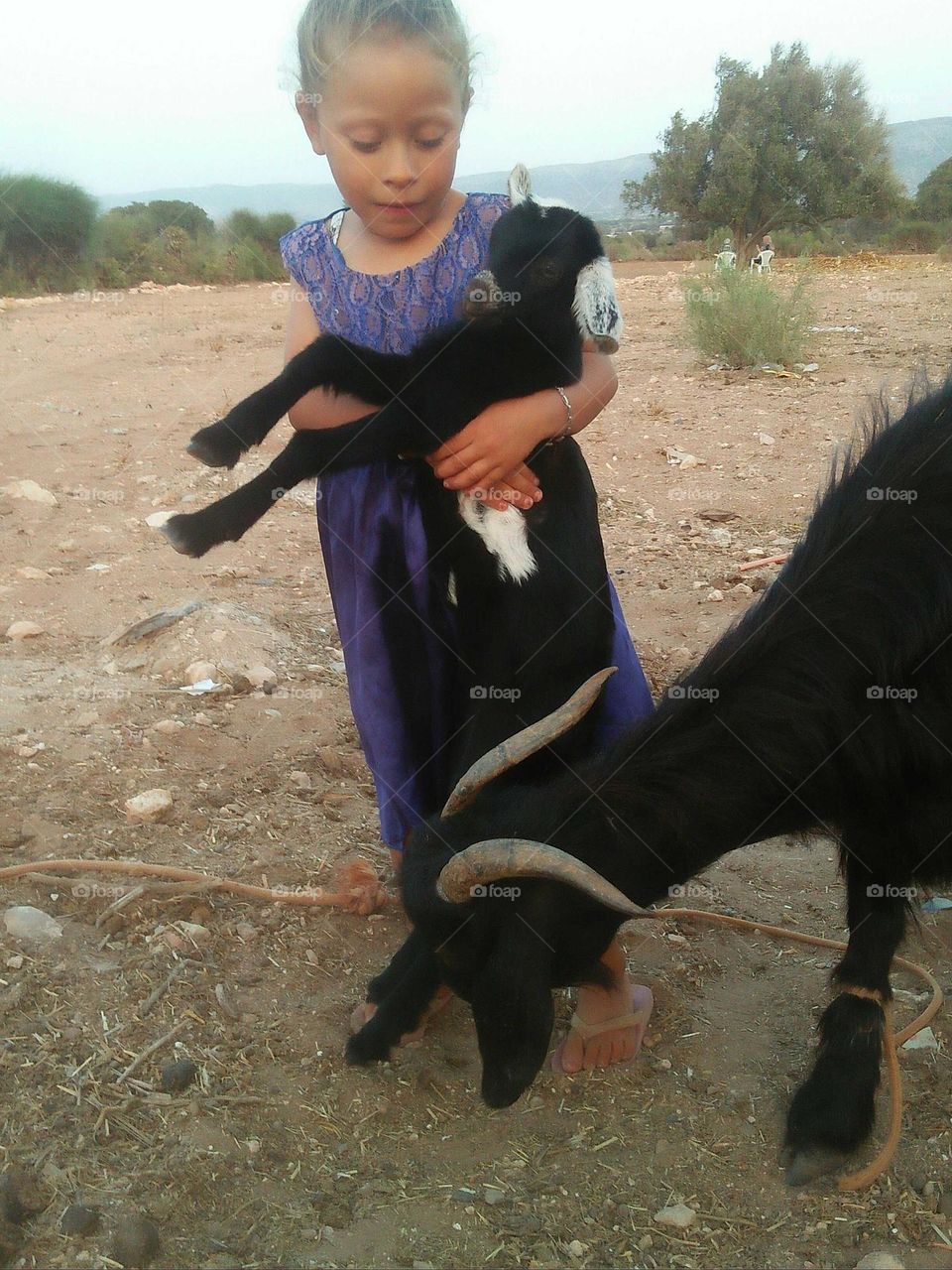 Beautiful girl holding a baby goat.