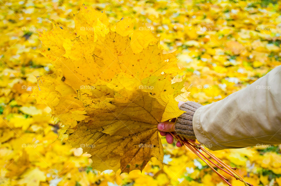 Colour Stories: Yellow