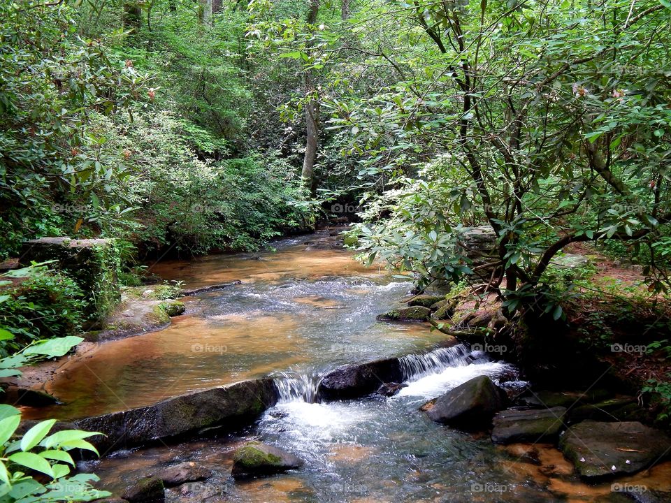 A North Georgia mountain stream