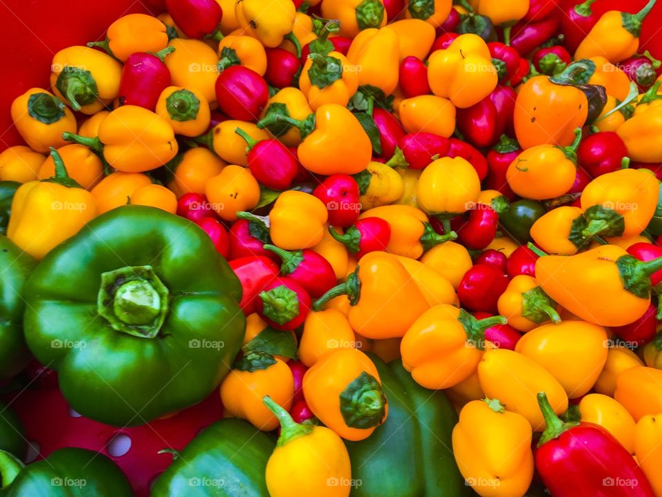 Peppers of color galore 