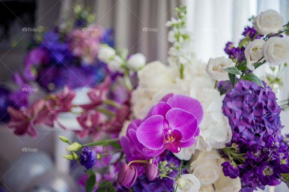 Orchid, flowers , purple, pink,rose ,wedding ,celebrate