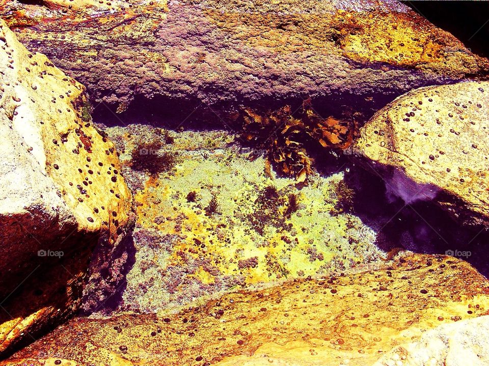 Rock pool