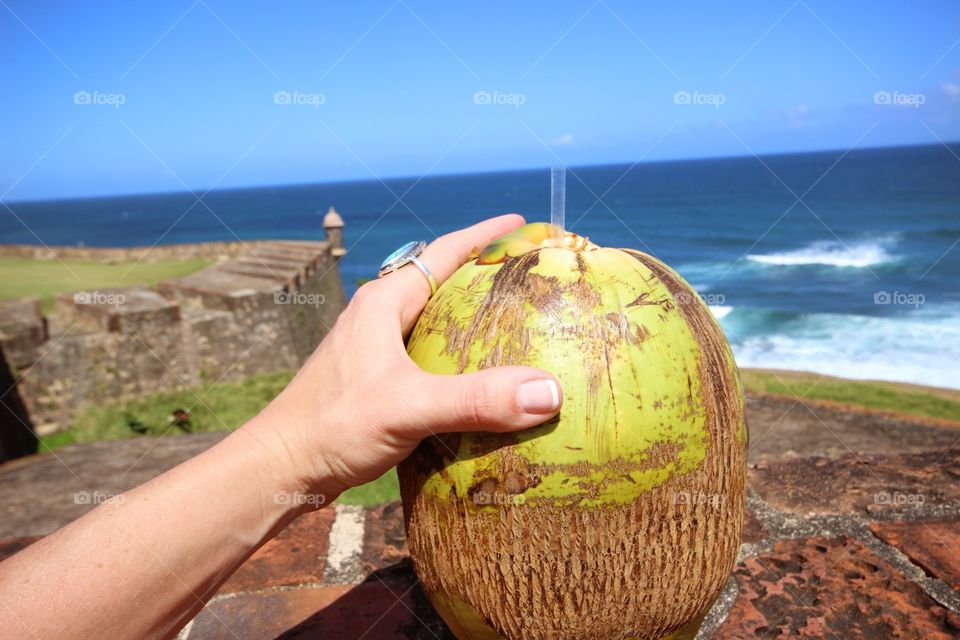 Coconuts