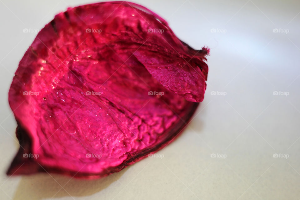 Pink dry petal of a flower, macro