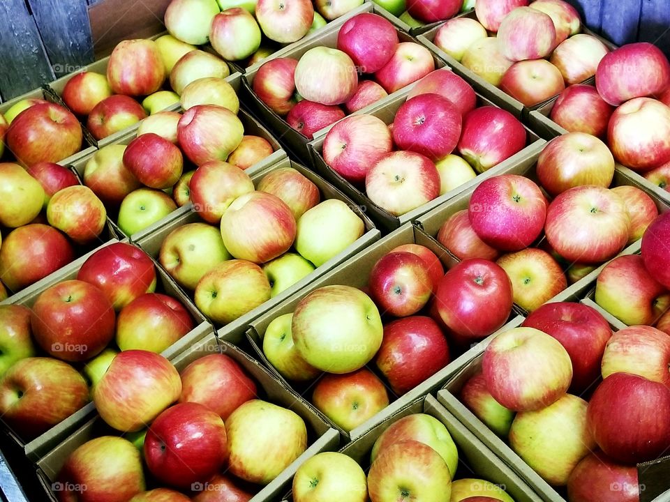 Boxes and boxes of beautiful apples ready to be delivered