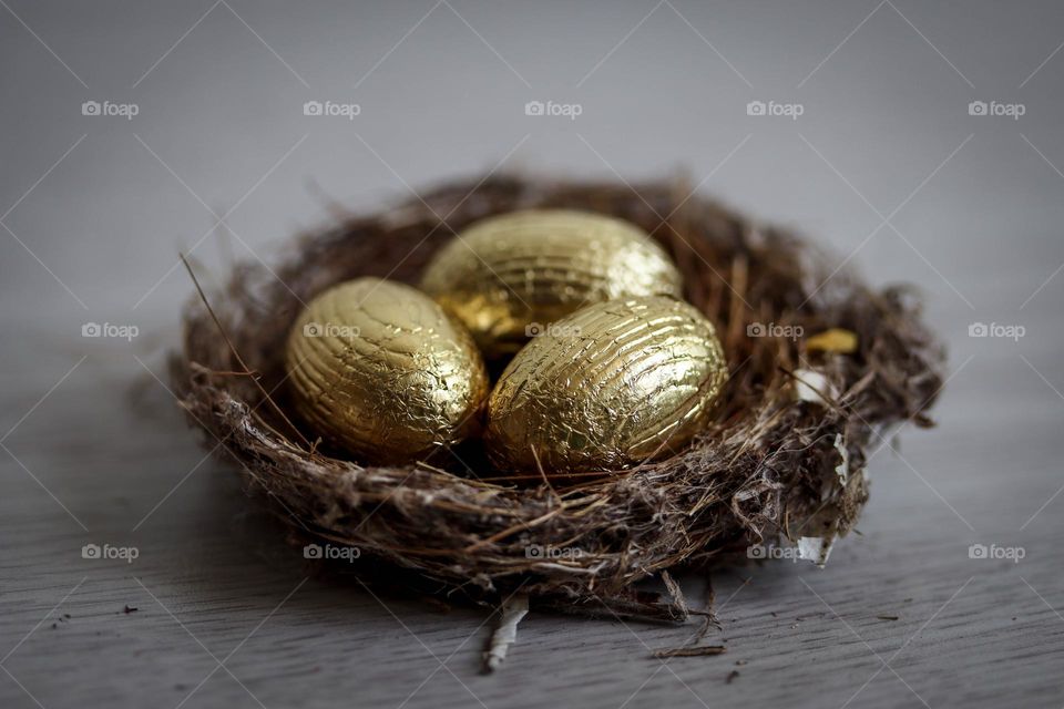 Golden eggs in a nest