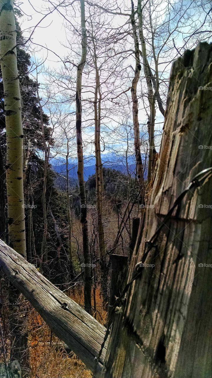 Gates of yesterday's mountain pastures