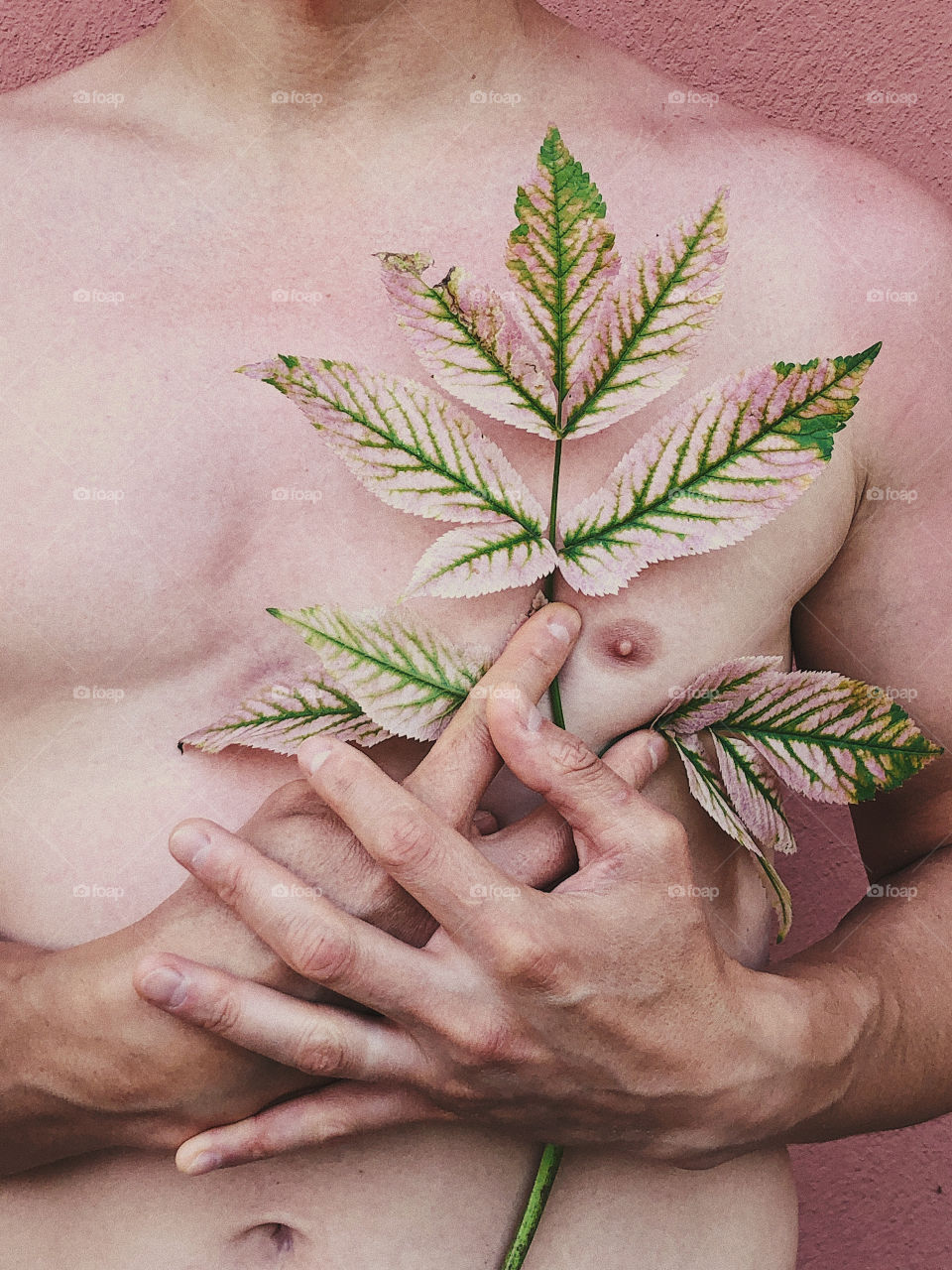 A young male holding a branch close to the skin in a gesture of connection with nature