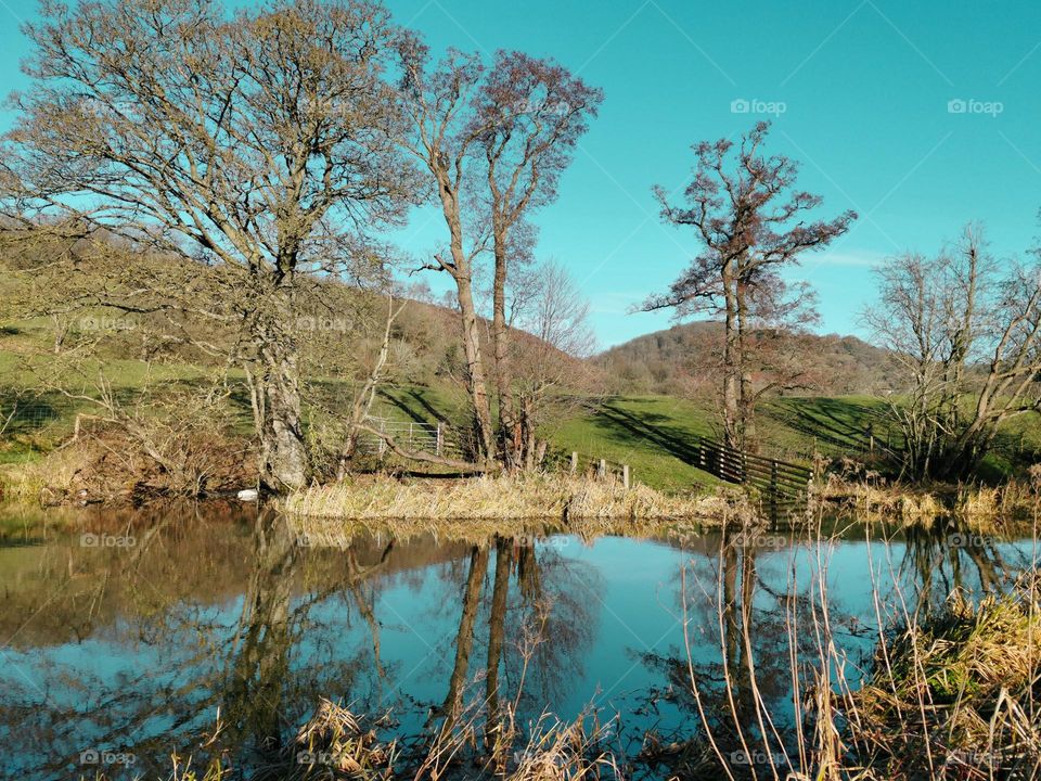 Canal reflections, sunny winter day