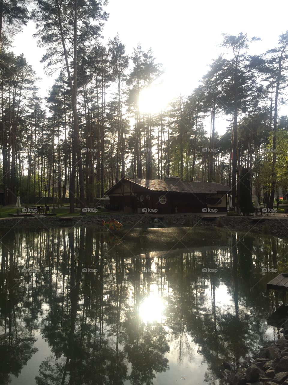 A house on a lake in a forest