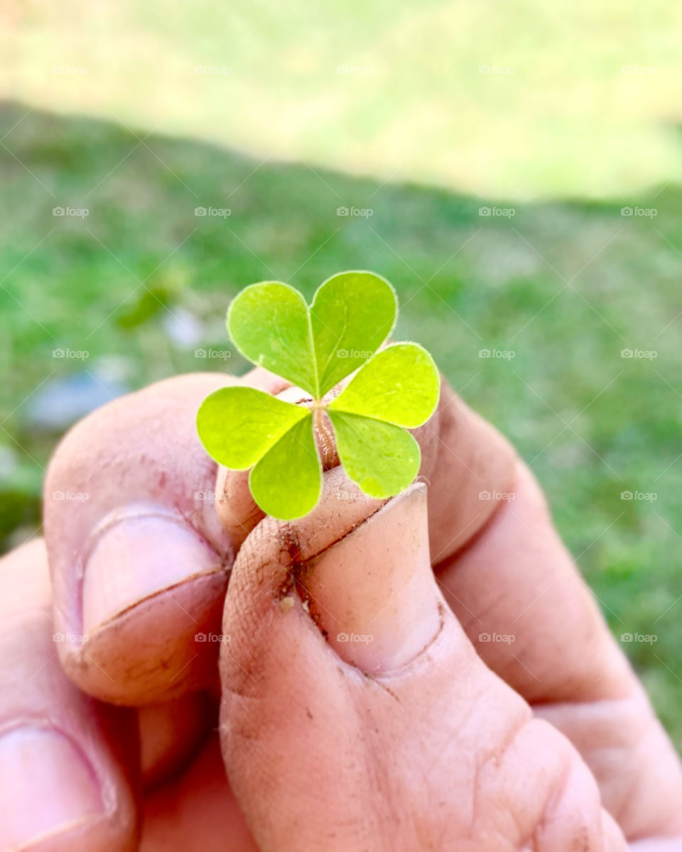 Hora de cuidar do jardim e tirar as pragas da grama. Porém, como tratar esses trevos com suas #pétalas em formato de coração de ervas daninhas?
💚
#Jardinagem é nosso #hobby (e idem à #fotografia).