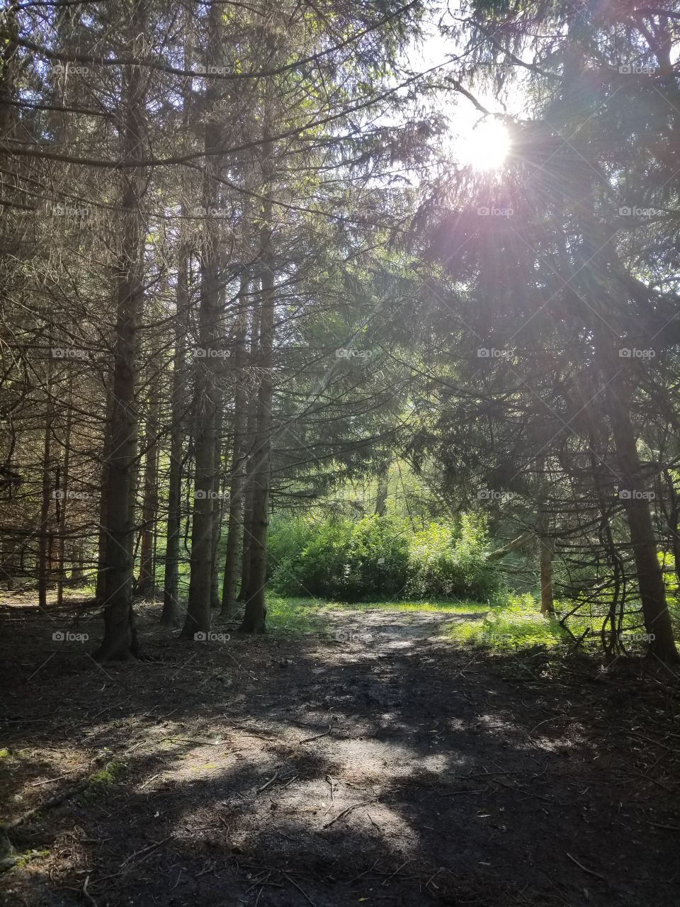 sun shines through if you let it