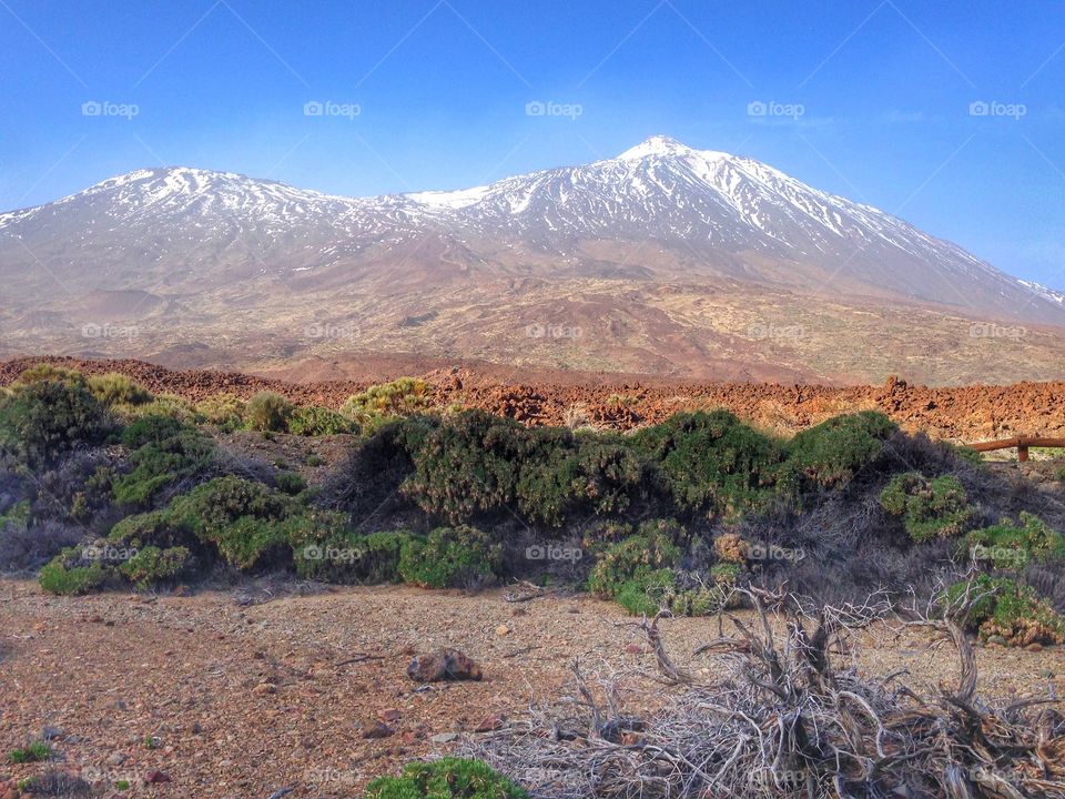 Mount teide