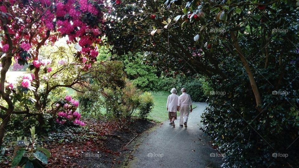 As they walked down  the azea lane