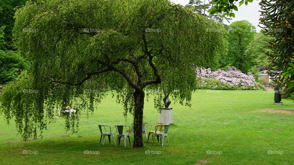 In Middelheimpark in Antwerp