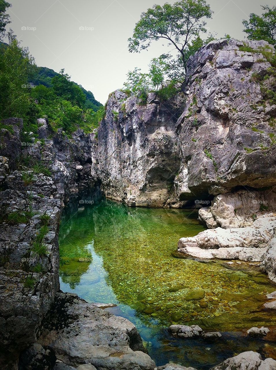 Rock near the pond