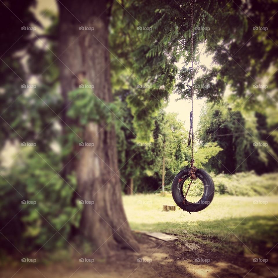 Tire swing 