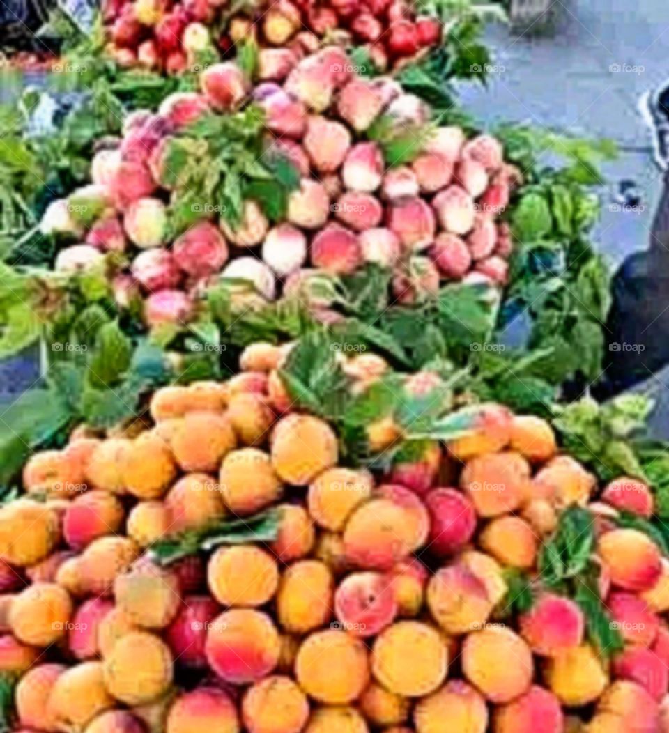 A most beautiful and attractive view in the market.