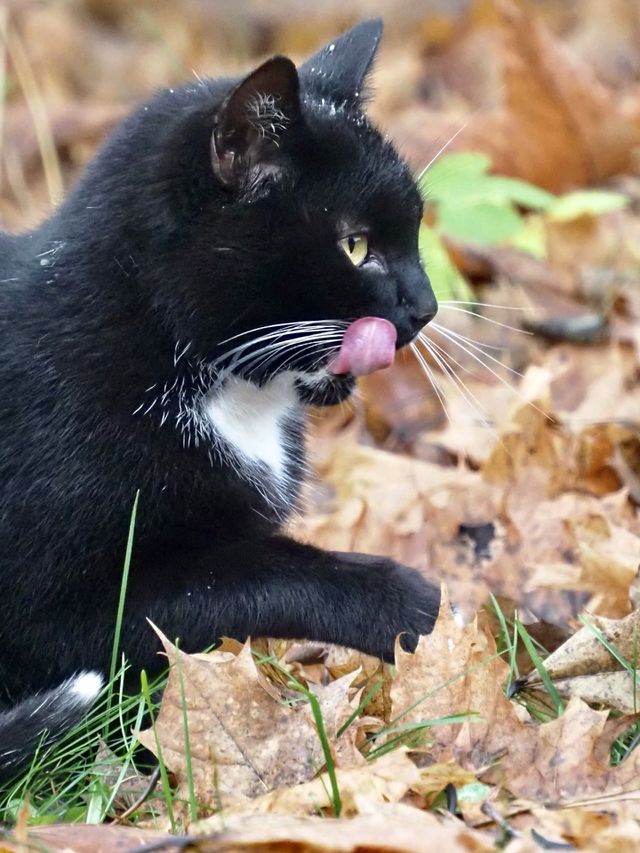 😋