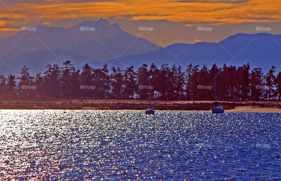 It was a beautiful sunny winter day which is rare on the Pacific North ‘wet’ Coast. This shot was taken from a waterfront pier & pointed into the sunlight. Some desktop effects were applied to make the mountains and sky visible behind the trees.
