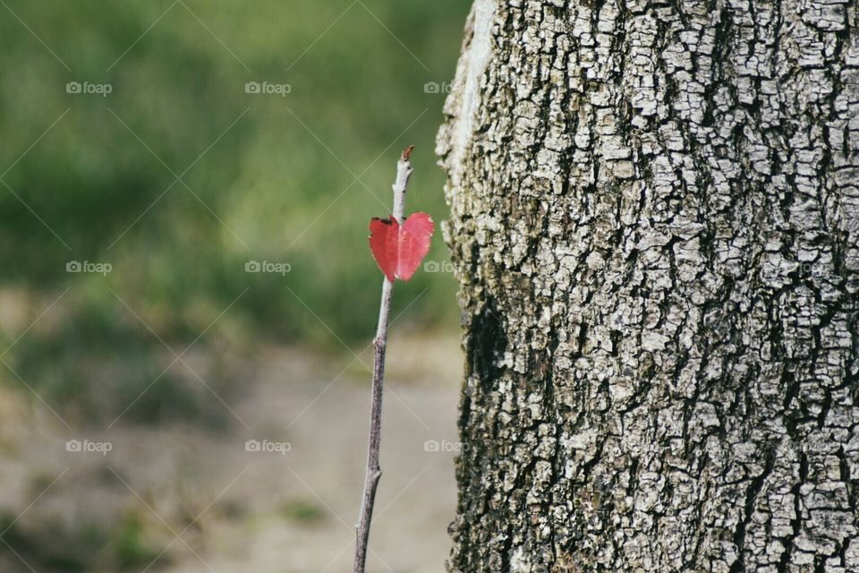 I found this interesting.