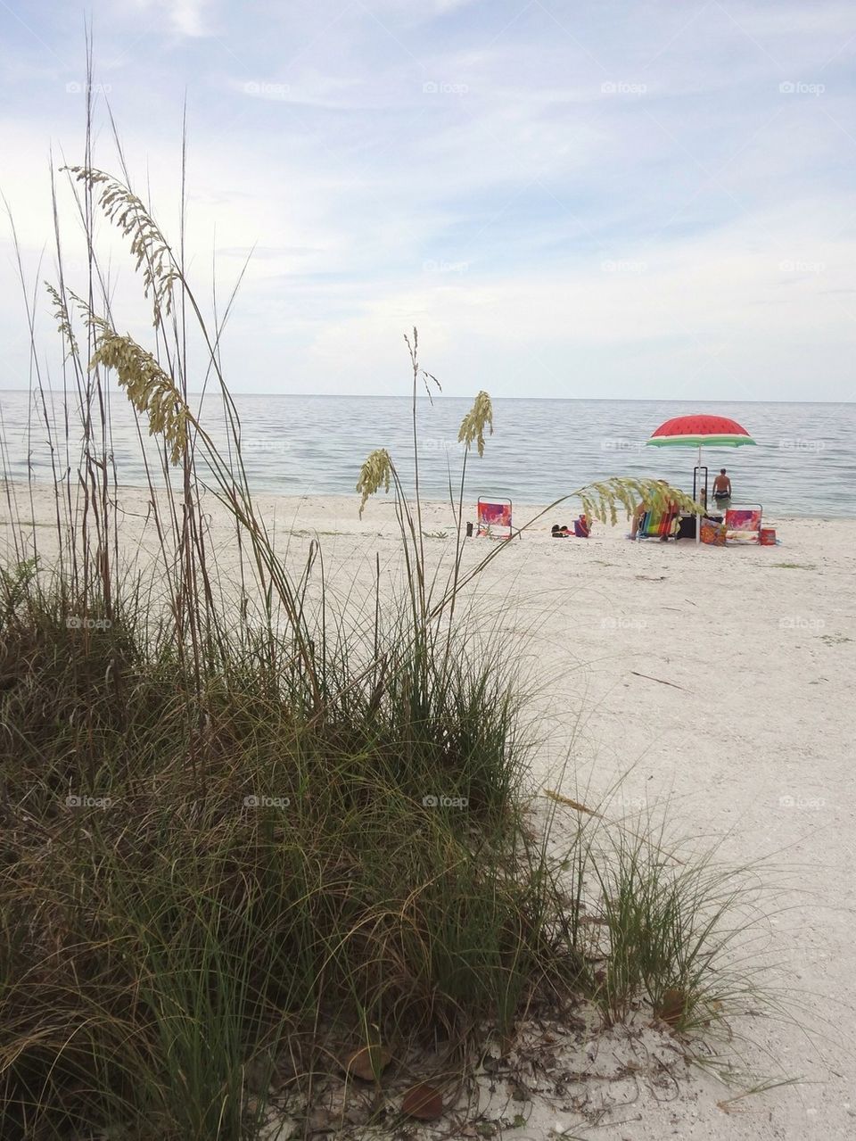 Sea grass and beach umbrella