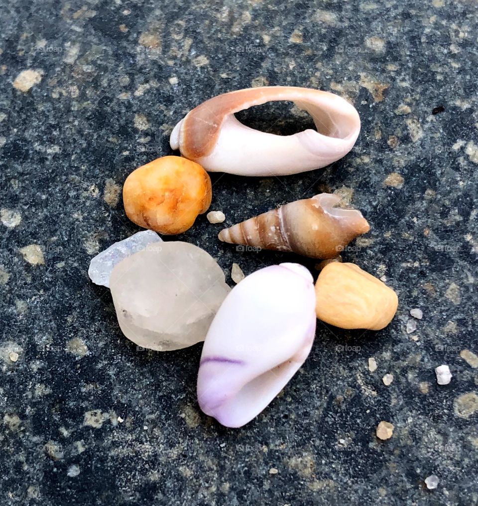 Beach findings 