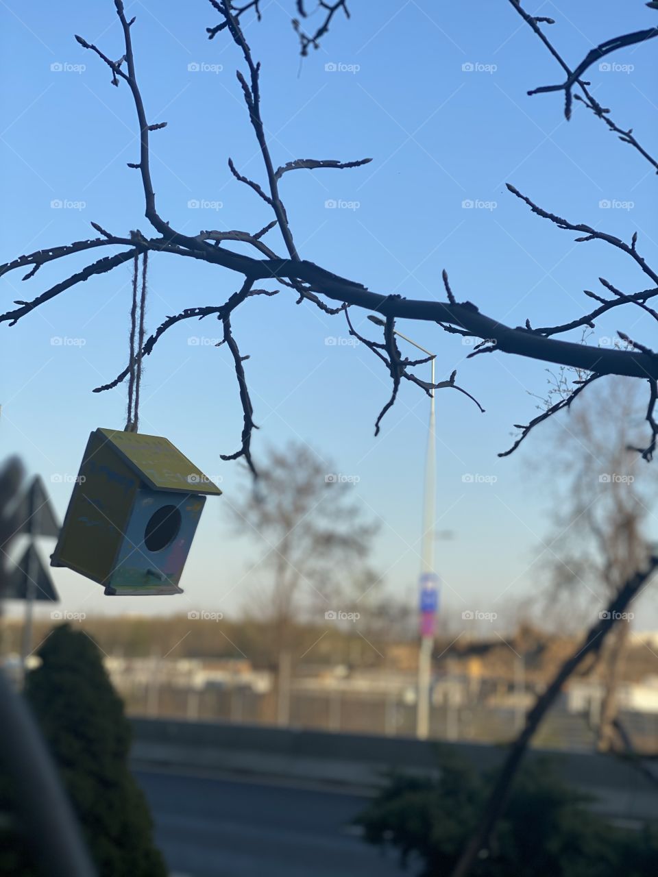 Gift to birds from a child 