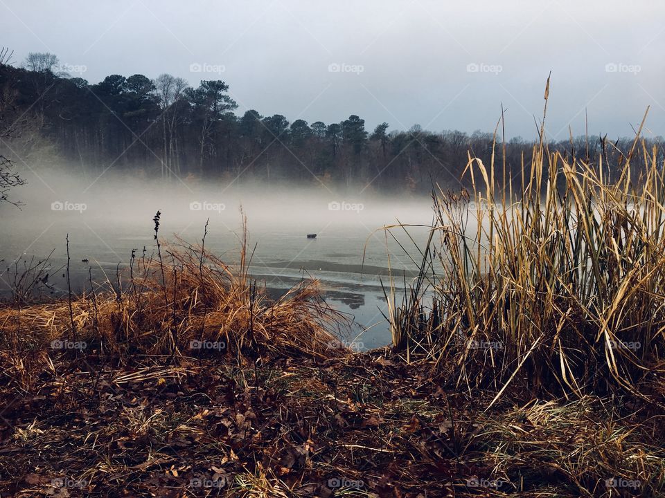 Fog settles on the lake in morning hours
