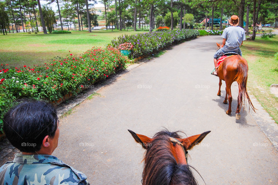 Horseriding