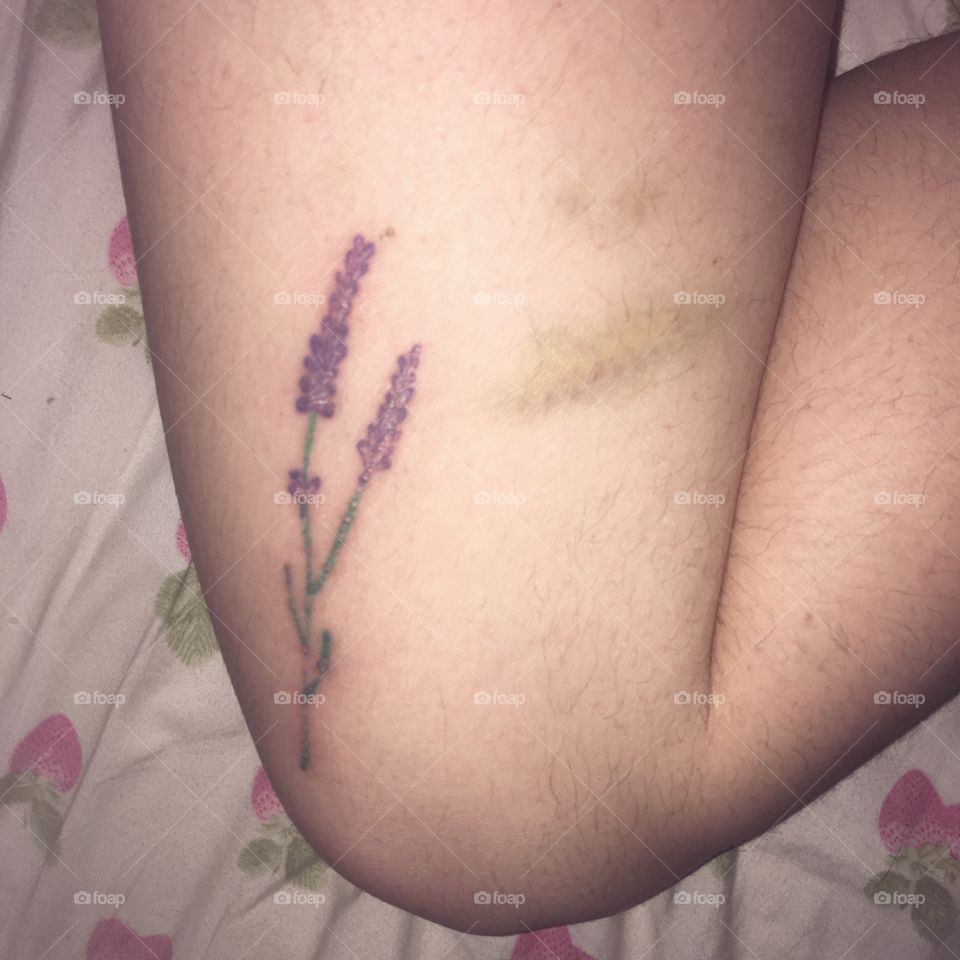 Lavender and bruises 