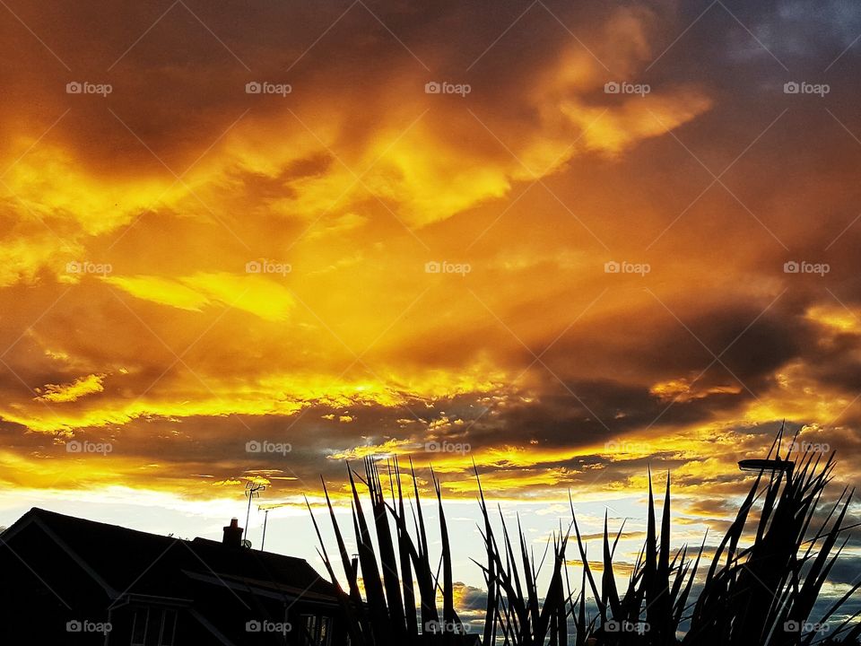 Golden clouds