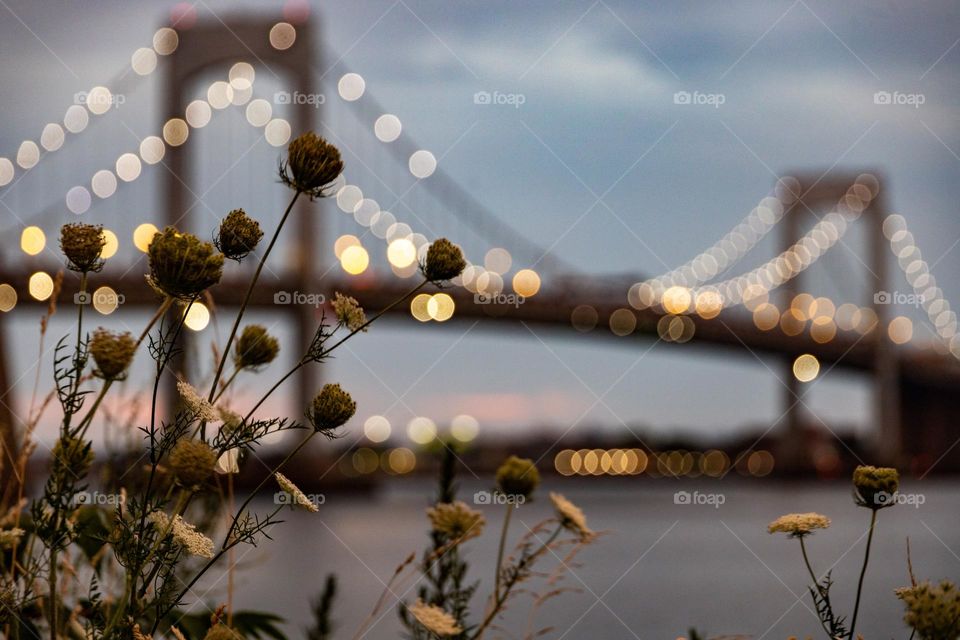 Sunset at the Bridge