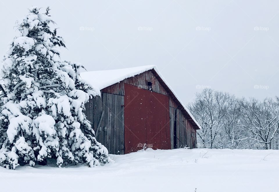 Signs of winter