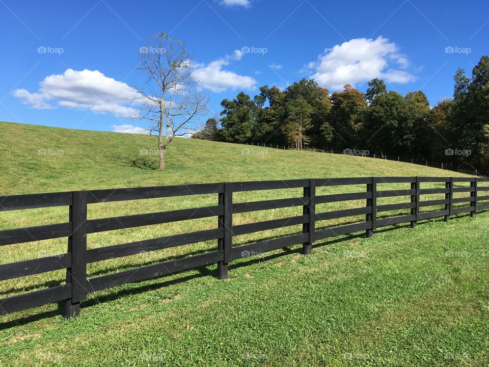 Beautiful Kentucky rural scene