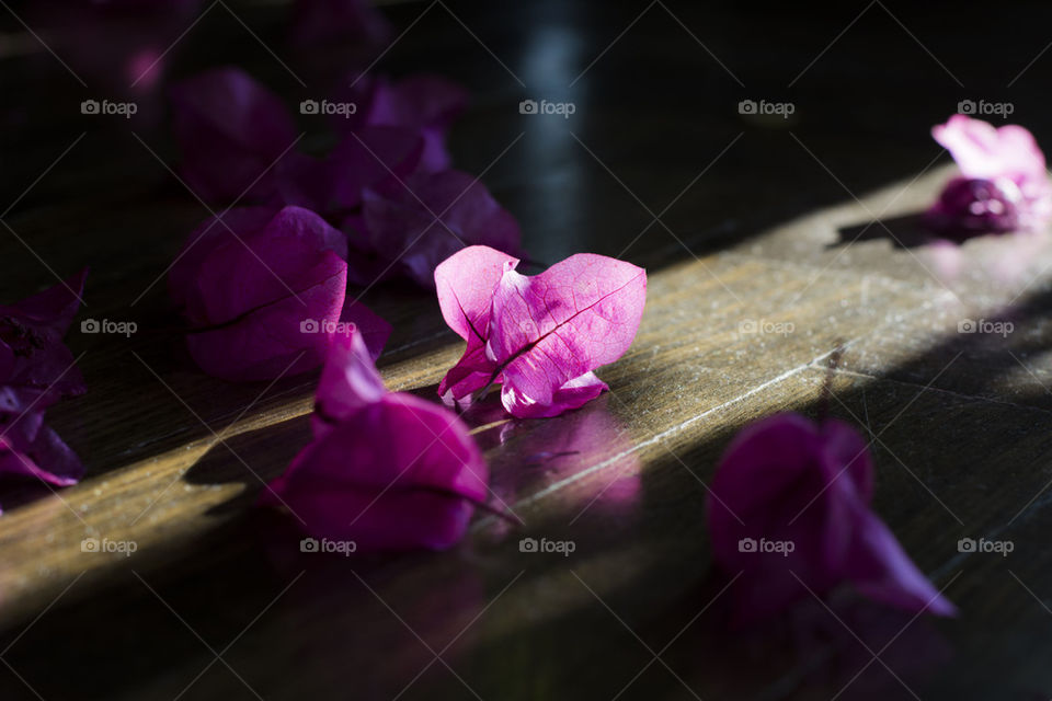 flowers on floor