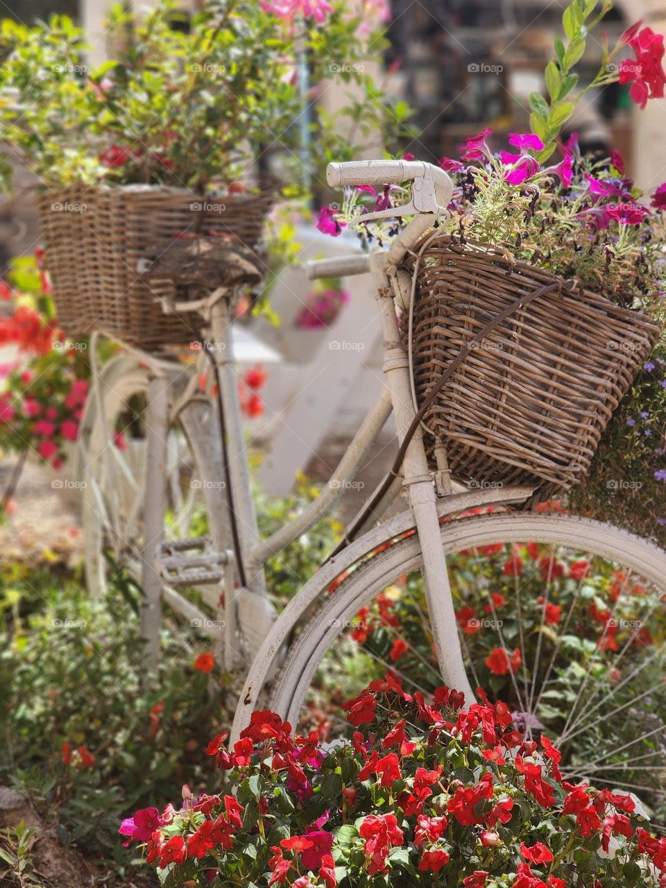 Decorative bicycles with flowers, summer basket, garden