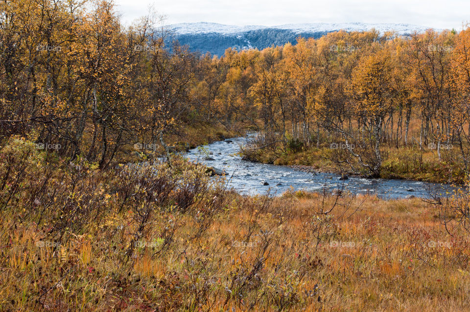 A river in the mountains