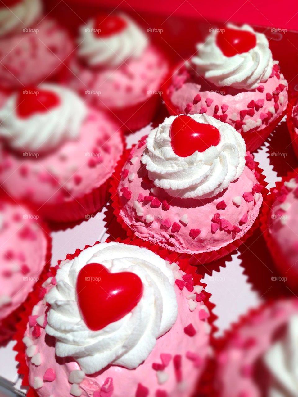 Cupcake Love